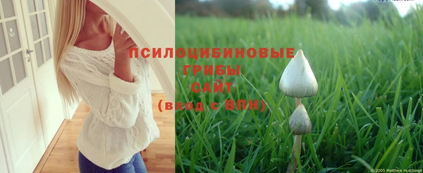 мет Абаза