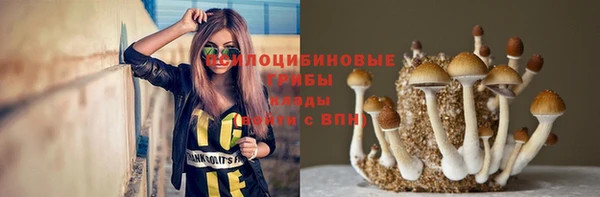 стафф Михайловск